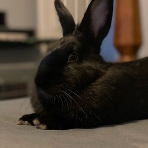 Meet your Posher, Heather